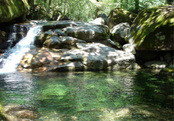 Cecelo 18/10